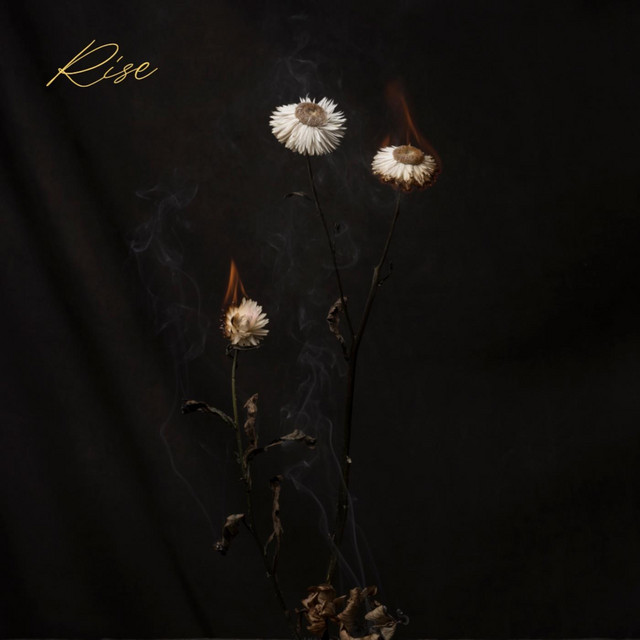 Rise album image