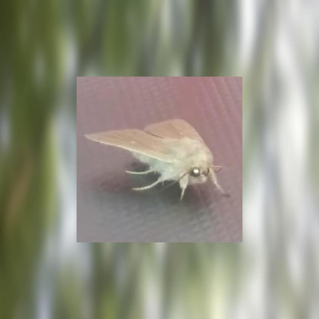Life Cycle cover art