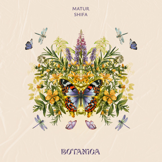 Shifa - Organic Mix album art