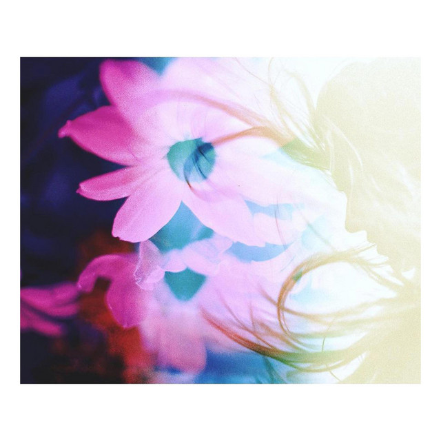 Sentimental cover art