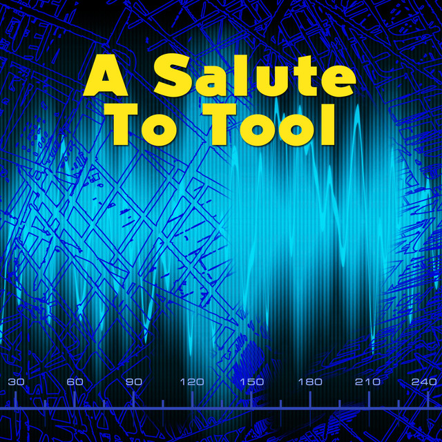 A Salute To Tool cover