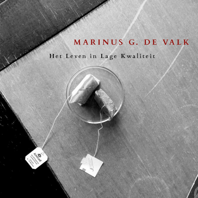 Marinus G. de Valk
