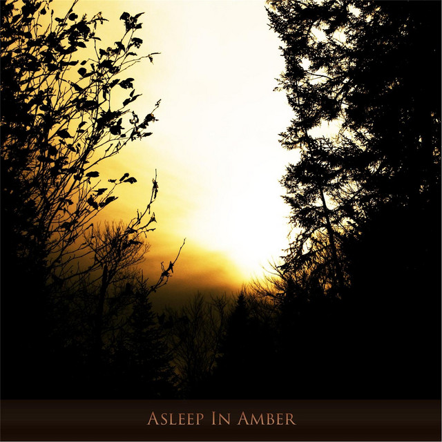 Asleep in Amber cover art