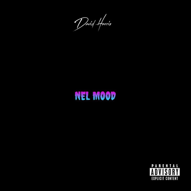 Nel Mood cover
