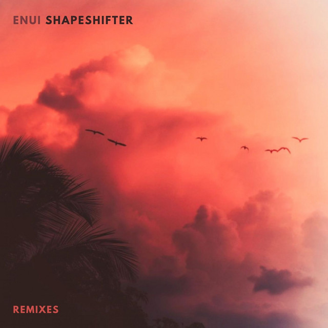 Shapeshifter - Tim Branch Remix cover art