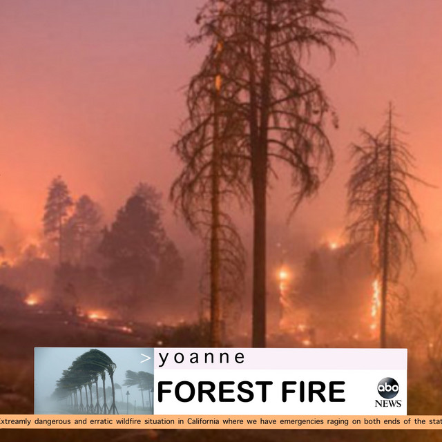 Forest Fire cover art