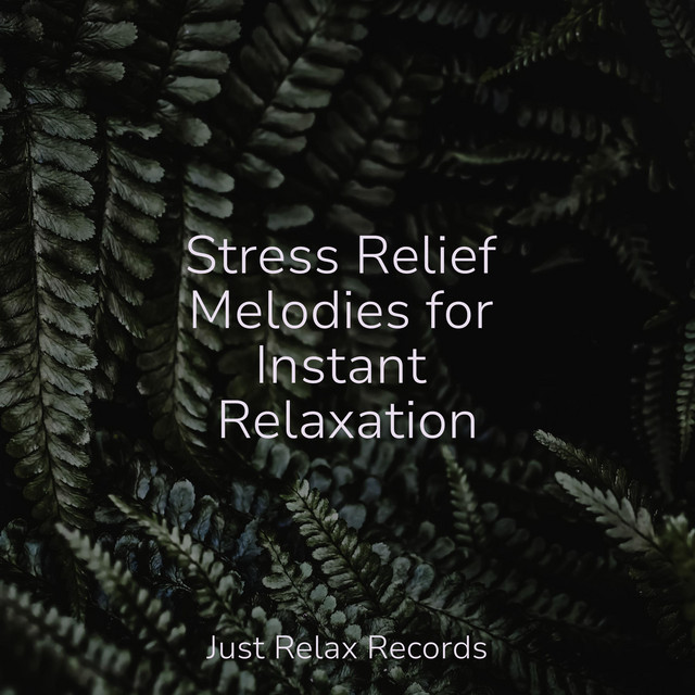Stress Relief Melodies for Instant Relaxation - Album by Rest & Relax ...