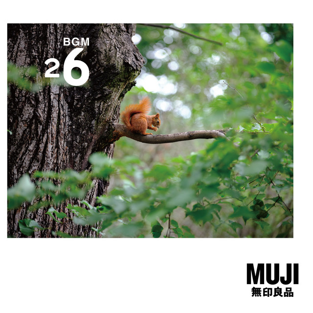 BGM26 Poland ‑「アルバム」by MUJI BGM | Spotify
