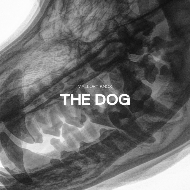 The Dog cover