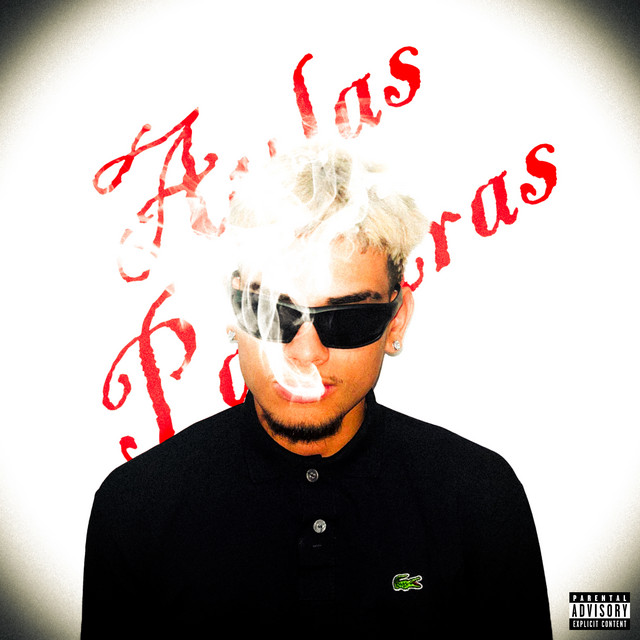 Aulas & Palestras cover art
