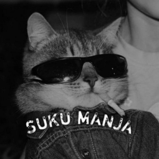 S4N