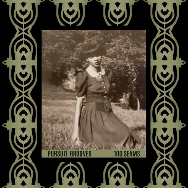 Brave Soul: Precious Observation cover art