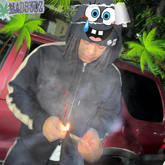 MADBUDZ cover art