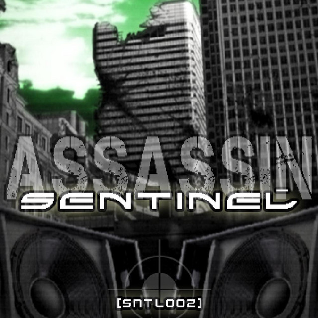 Assassin cover art