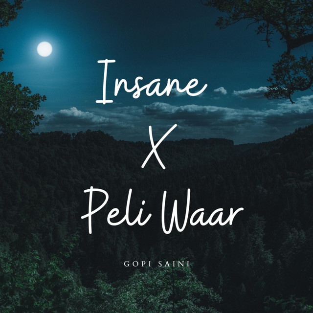 Insane X Peli Waar - song and lyrics by Gopi Saini | Spotify