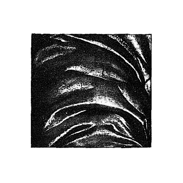 Coatcheck cover art