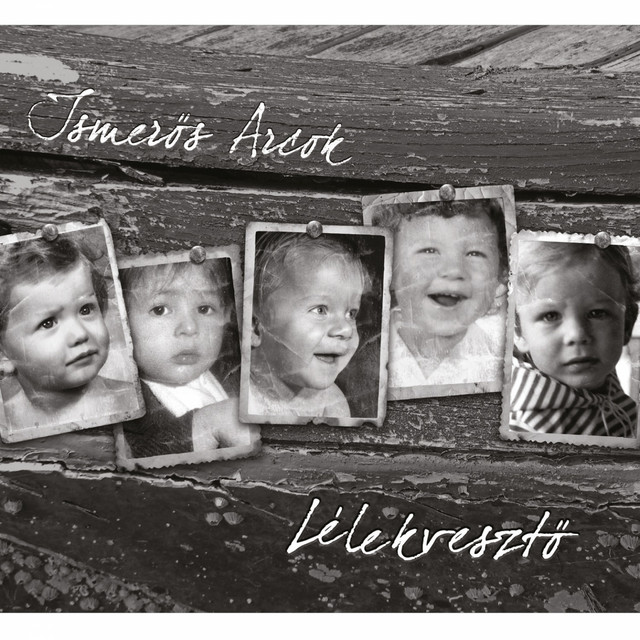 Lélekvesztő cover