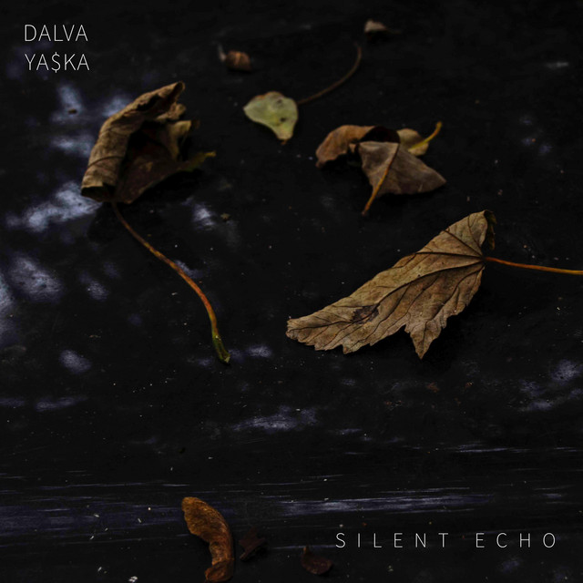 Cover du titre Silent Echo