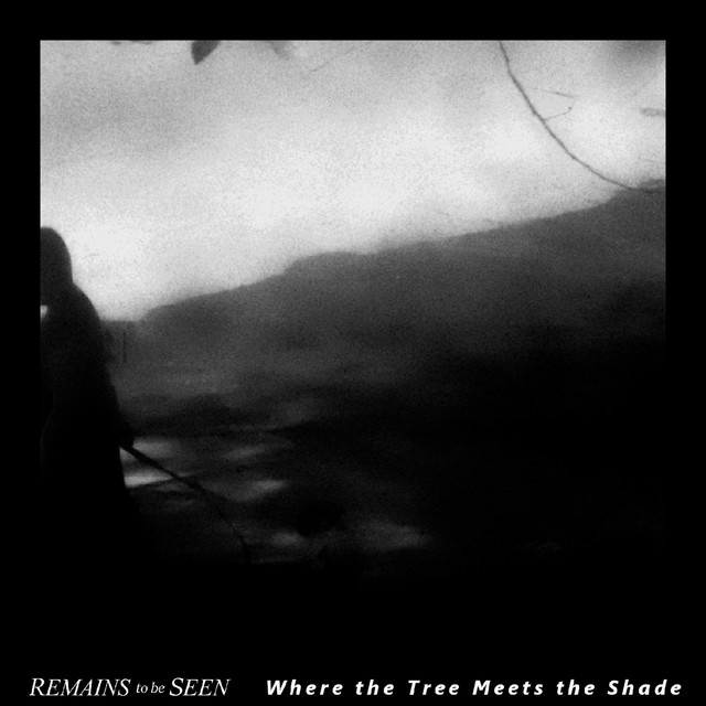 Where the Tree Meets the Shade cover art