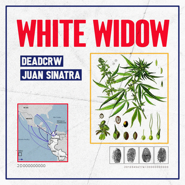 White Widow