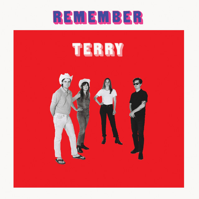 Remember Terry cover art