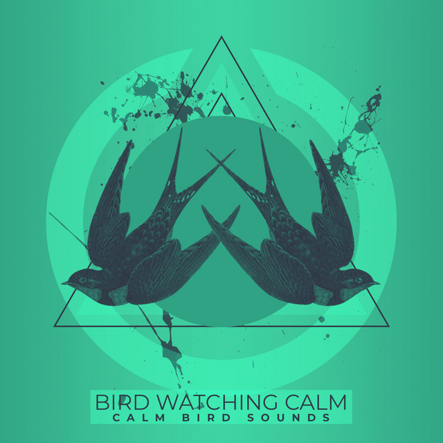 Bird Watching Calm - Album by Calm Bird Sounds | Spotify