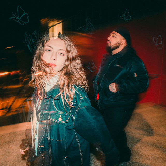 Les papillons cover art