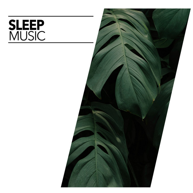 Sleep Sounds - Album by Sleep Sounds of Nature | Spotify