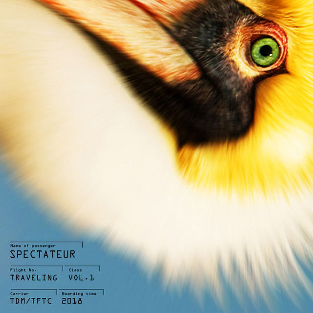 Traveling, Vol.1 cover art