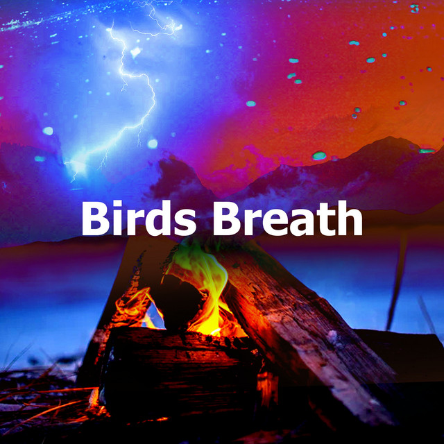 Birds Repeat in Rain - song and lyrics by Pro Sound Effects Library ...