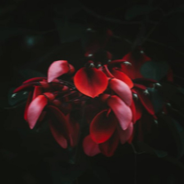 Me cover art
