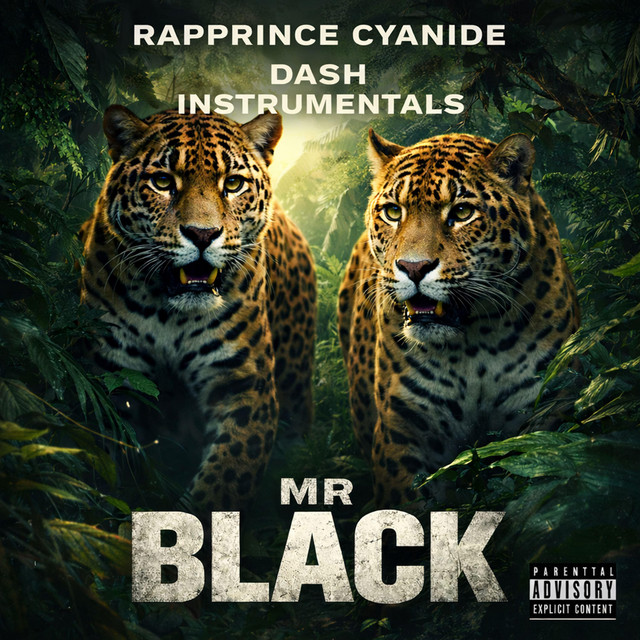 Mr Black cover art