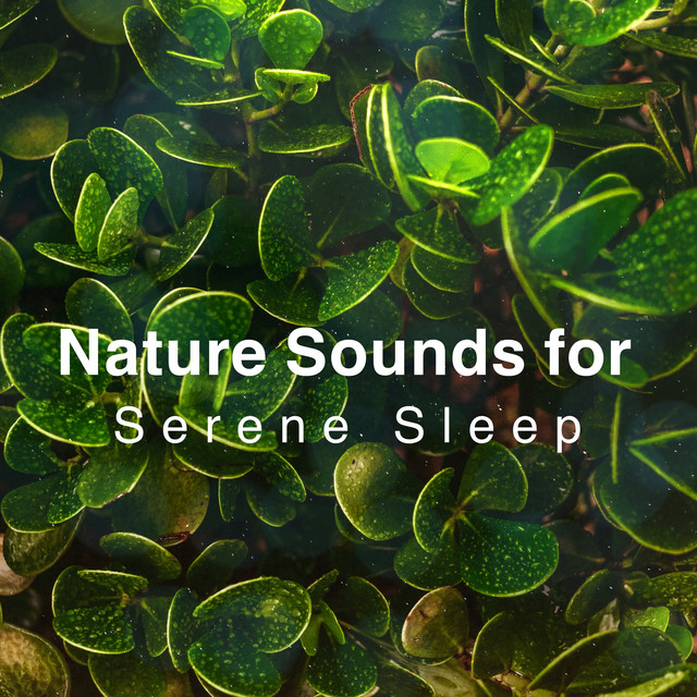 Nature Sounds for Serene Sleep ! ! ! ! - Album by Nature Sounds for ...