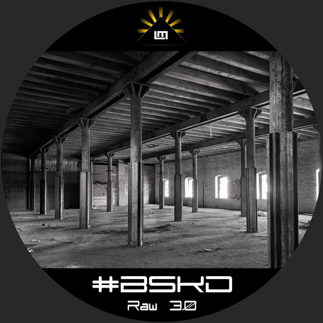 Обкладинка #BSKD — Raw 3.0