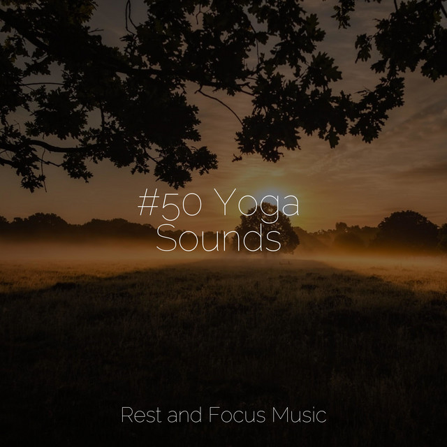 #50 Yoga Sounds - Album by Sleep Sounds of Nature | Spotify