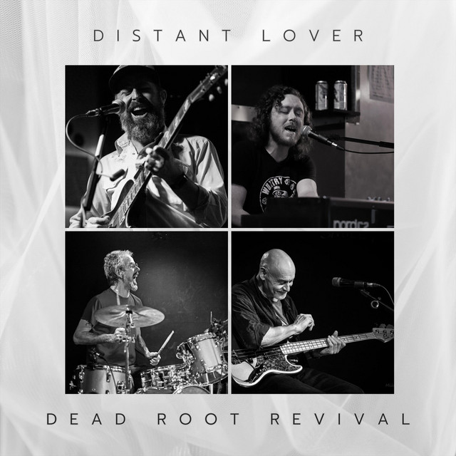 Distant Lover - Single by Dead Root Revival | Spotify