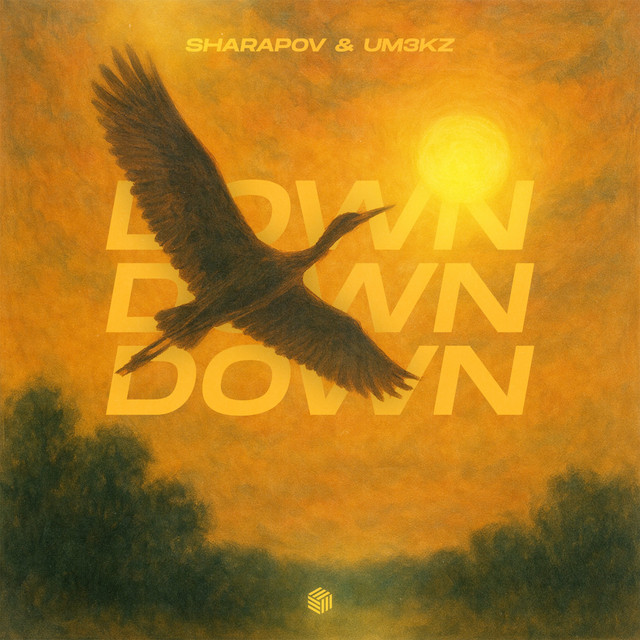 Down cover art