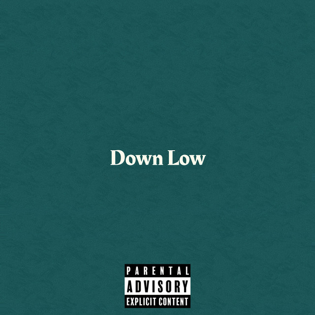 Down Low cover art
