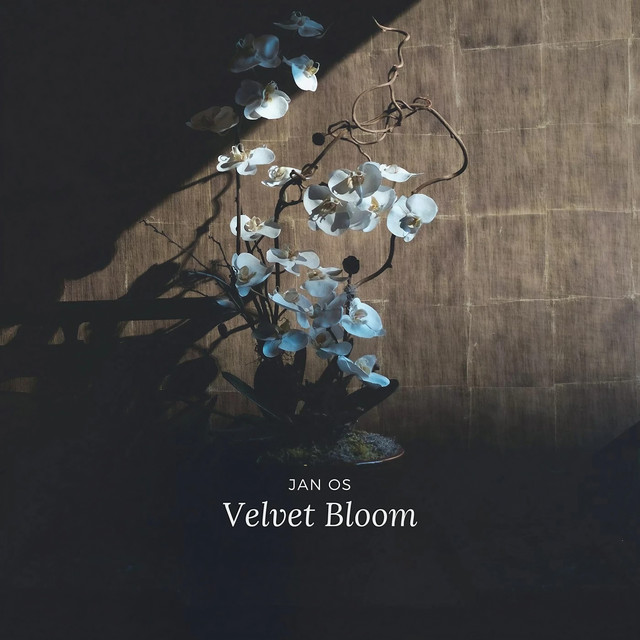 Velvet Bloom
