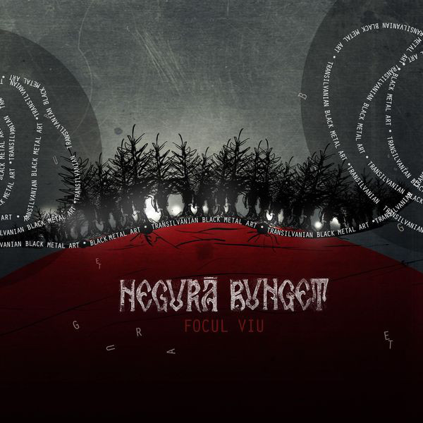 Focul Viu cover art