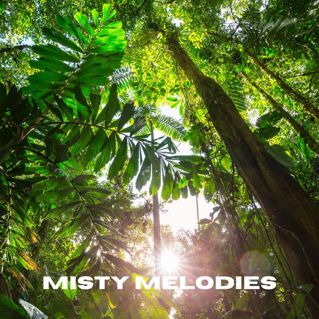 Misty Melodies