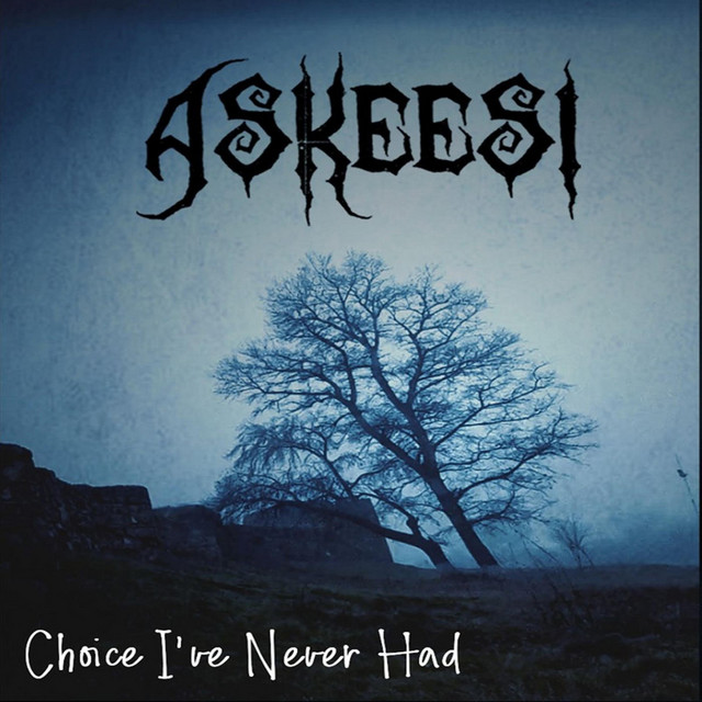 Choice I've Never Had cover art