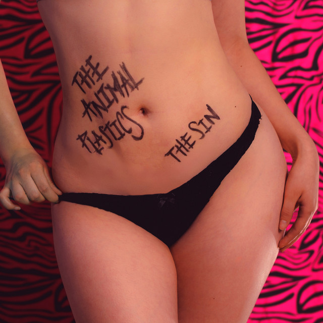 The Sin cover art