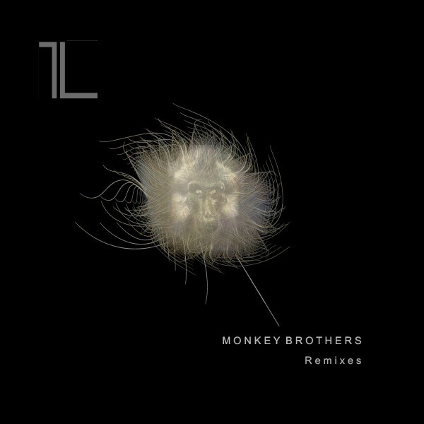 Zing (Monkey Brothers Remix) cover art
