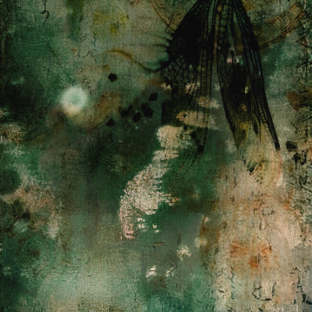 Verde Avellana cover art