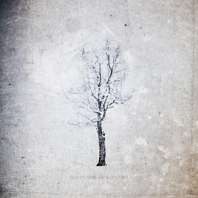 Bosques de mi Mente Photo