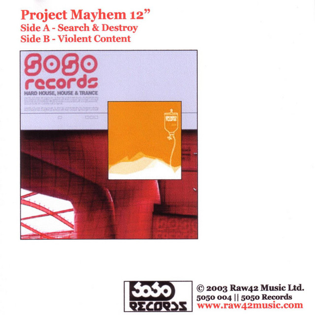 Project Mayhem 12" cover art