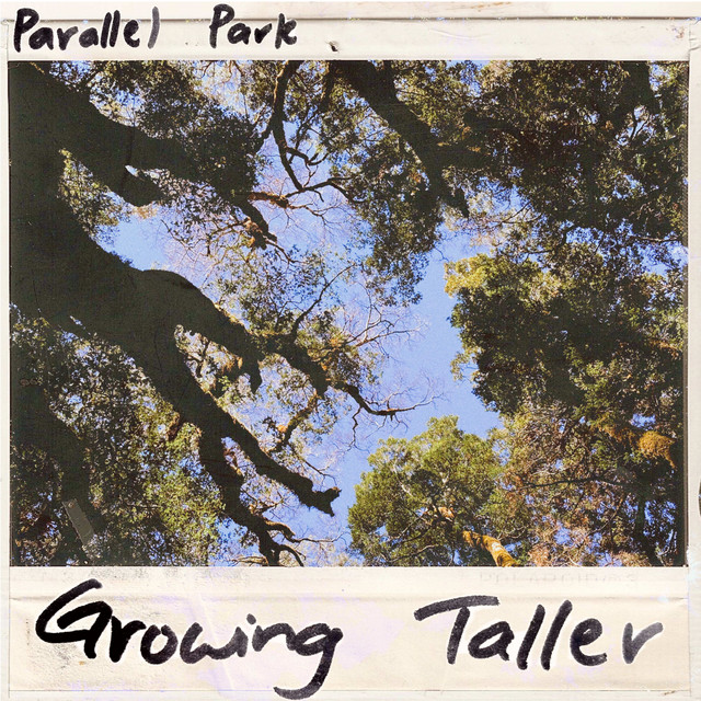 Growing Taller cover art