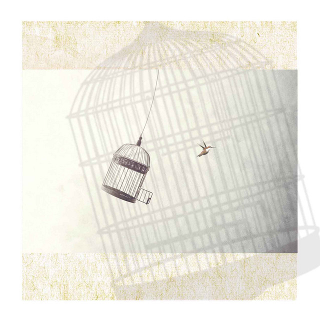 Freedom at Your Field ep. cover art