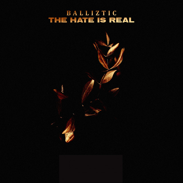 The Hate Is Real cover